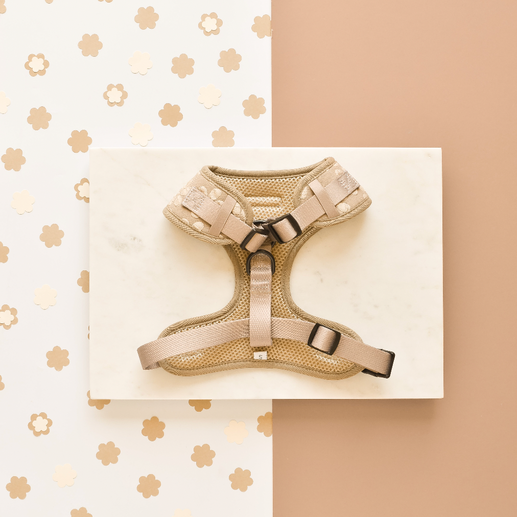 Harnas Mocha Flower - Cocopup London