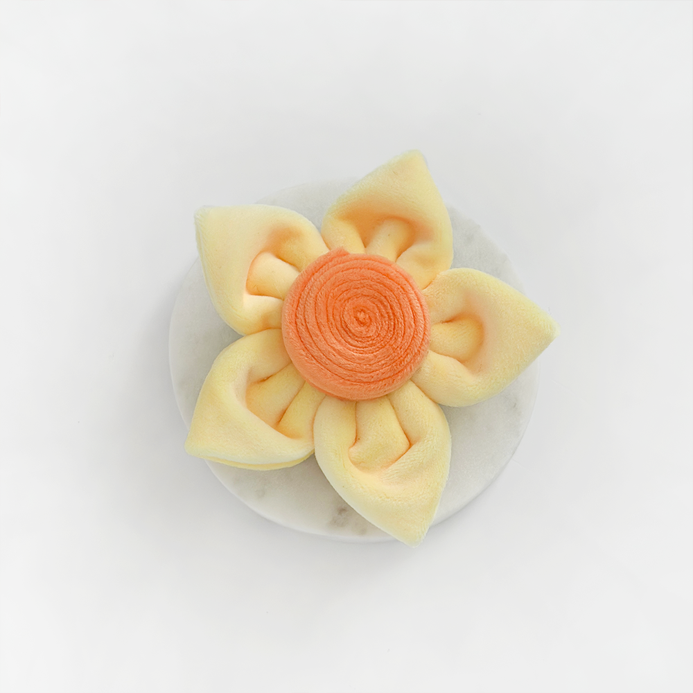 Lentebloem Narcis - Cocopup London