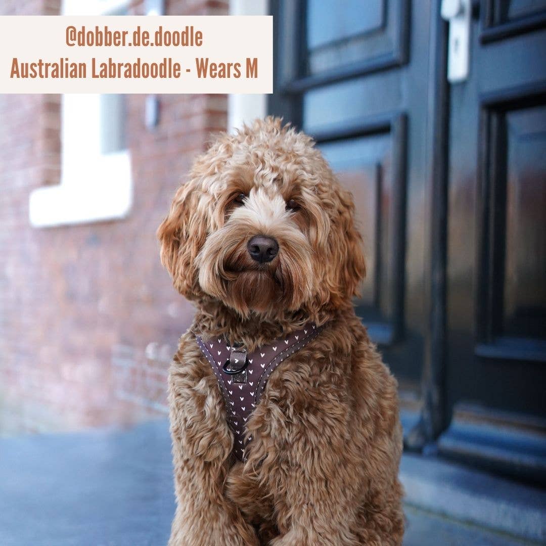 Harnas Choco Loco Love