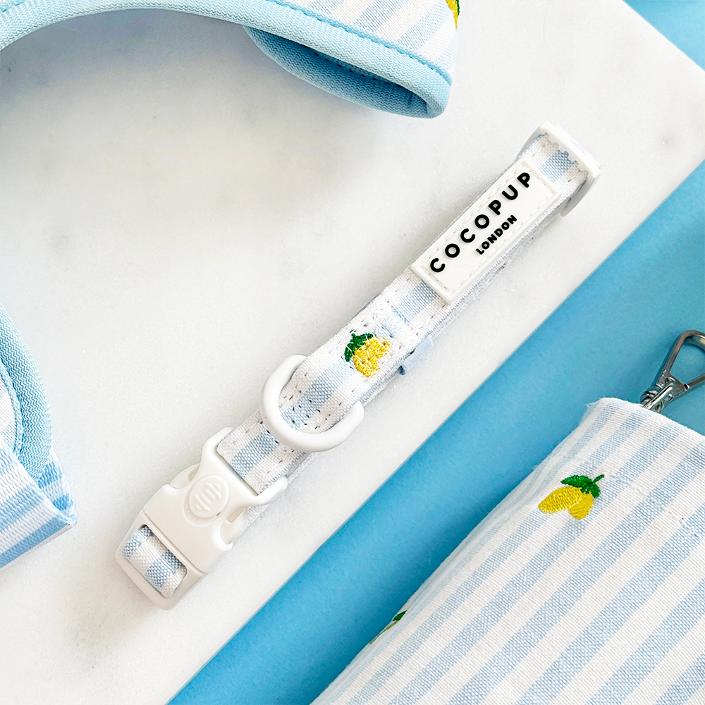 Leven La Vida Lemon Halsband - Cocopup London