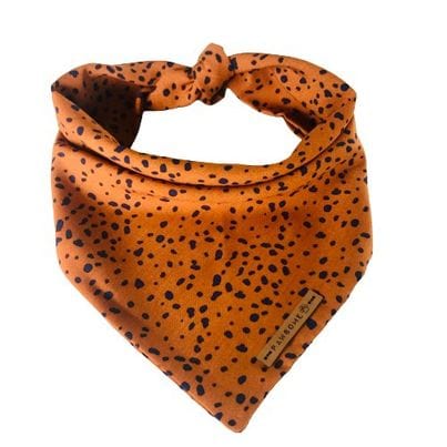 Bandana Hello Fall
