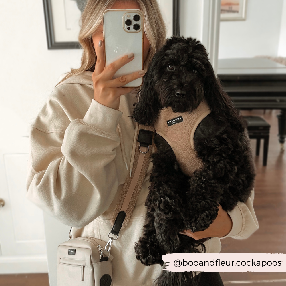 Tasriem Teddy Rupert - Cocopup London