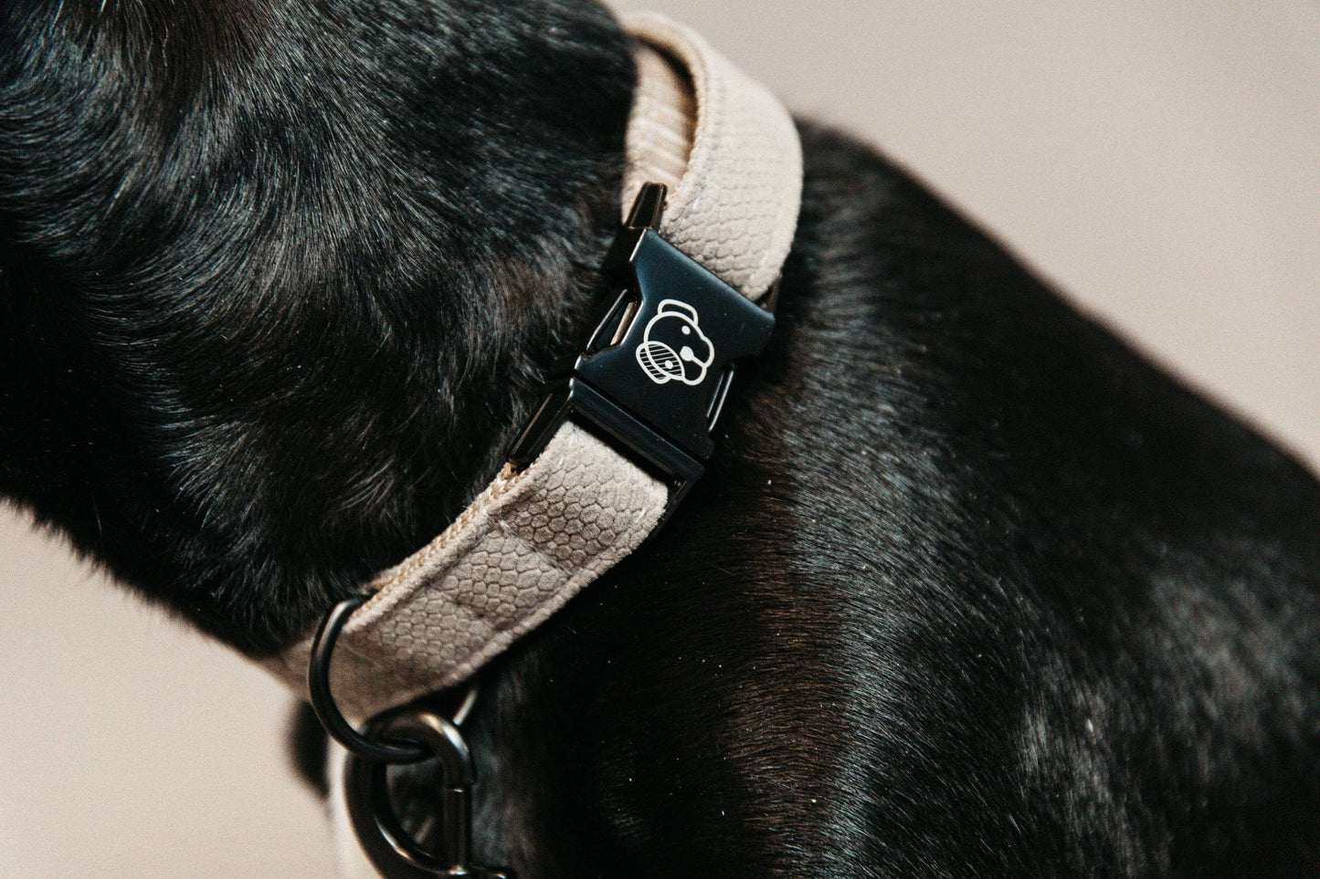 Halsband Hagedis Beige