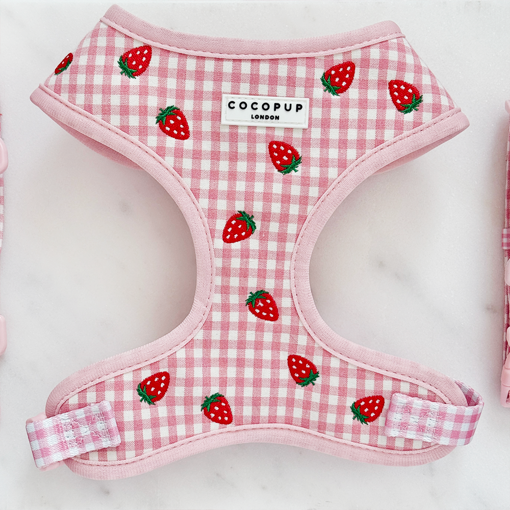 Aardbeien Picknick Harnas - Cocopup London