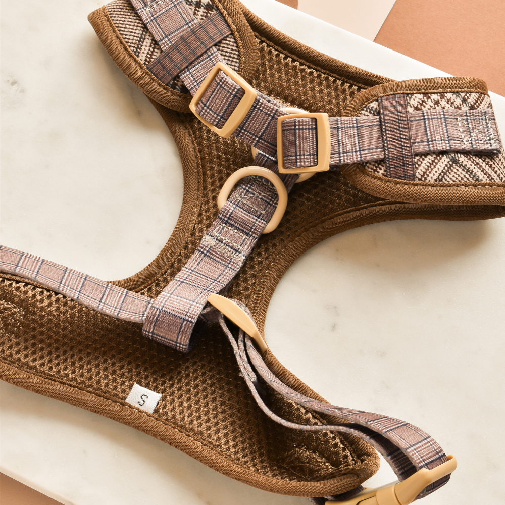 Harnas Pup Plaid - Cocopup London