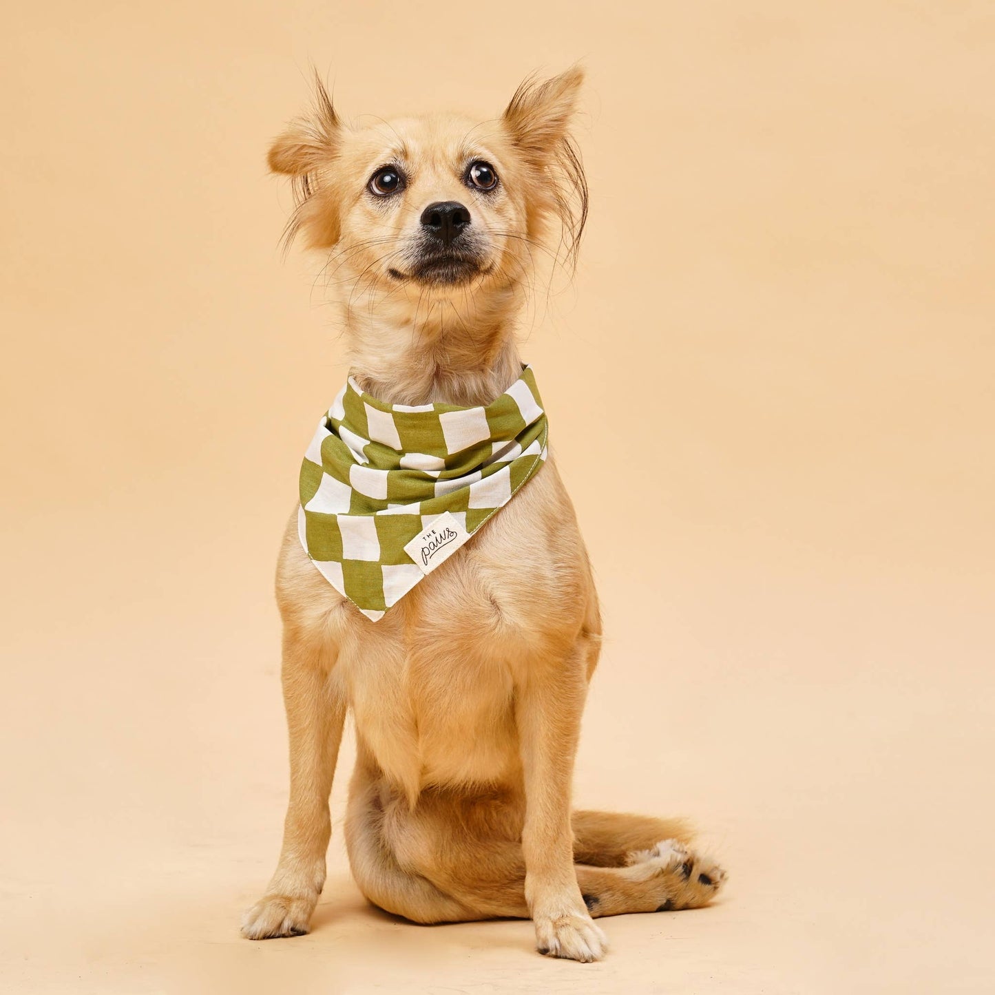 Schaakmat hond Bandana
