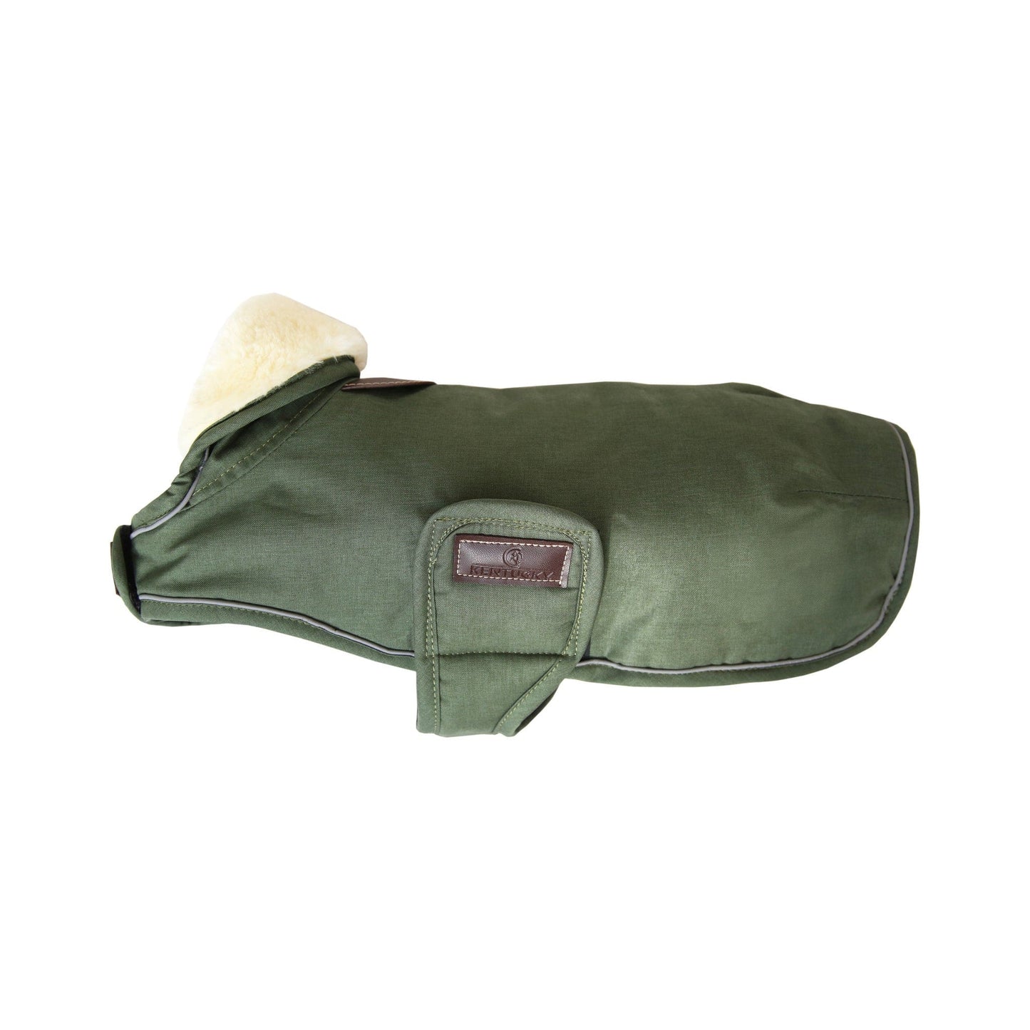 Hondenjas Waterproof – Groen 300G