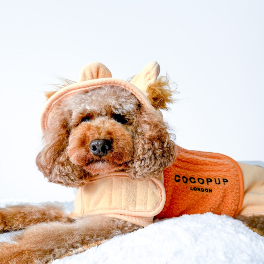 Badjas Roary the Lion - Cocopup London