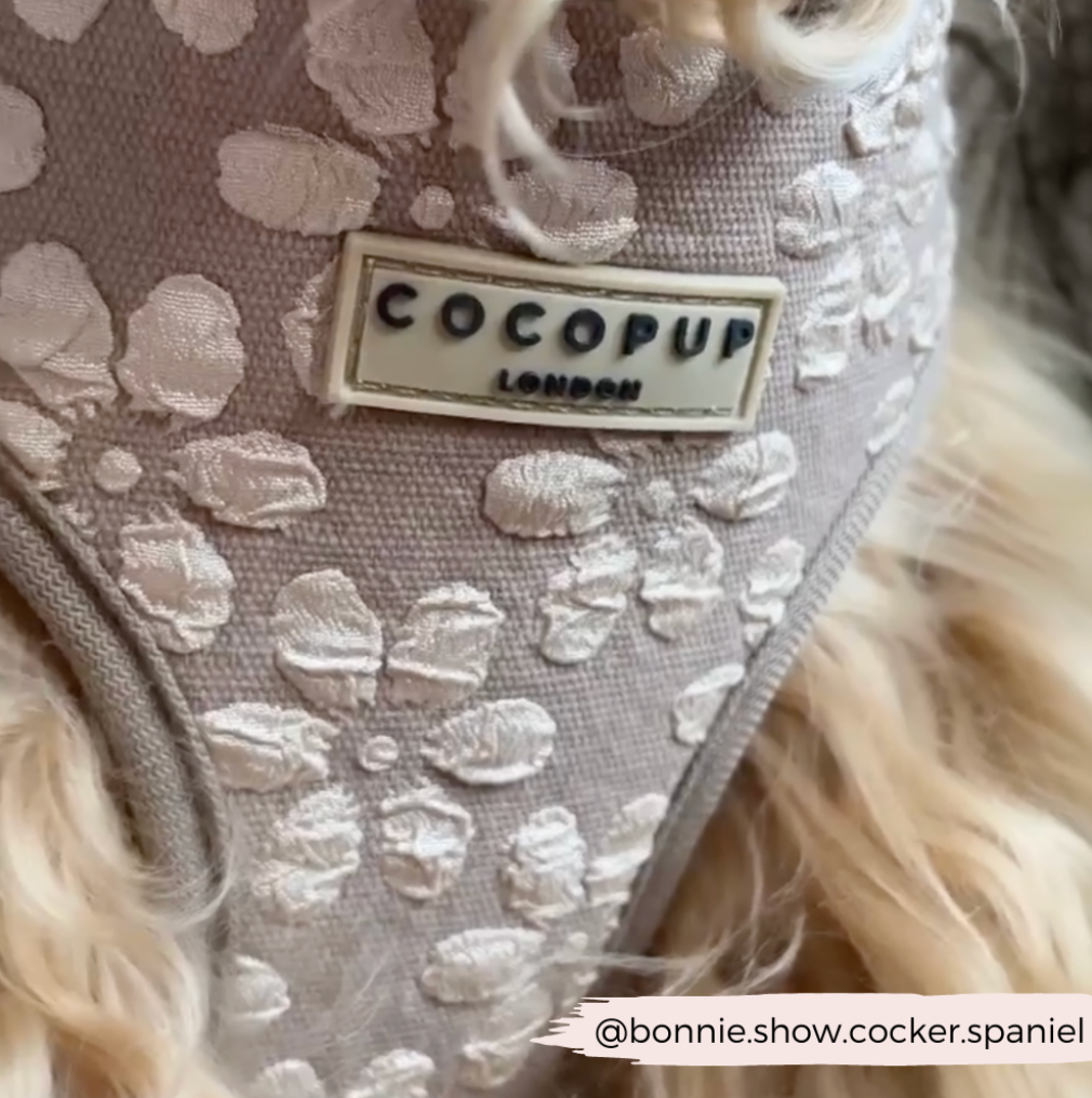 Harnas Mocha Flower - Cocopup London