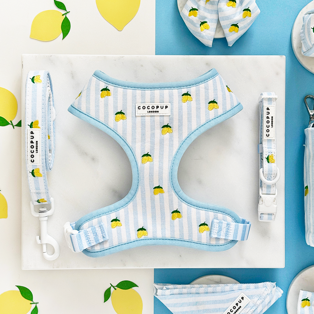 Leven La Vida Lemon Halsband - Cocopup London