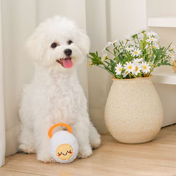 Hoppin’ Easter -Good Egg