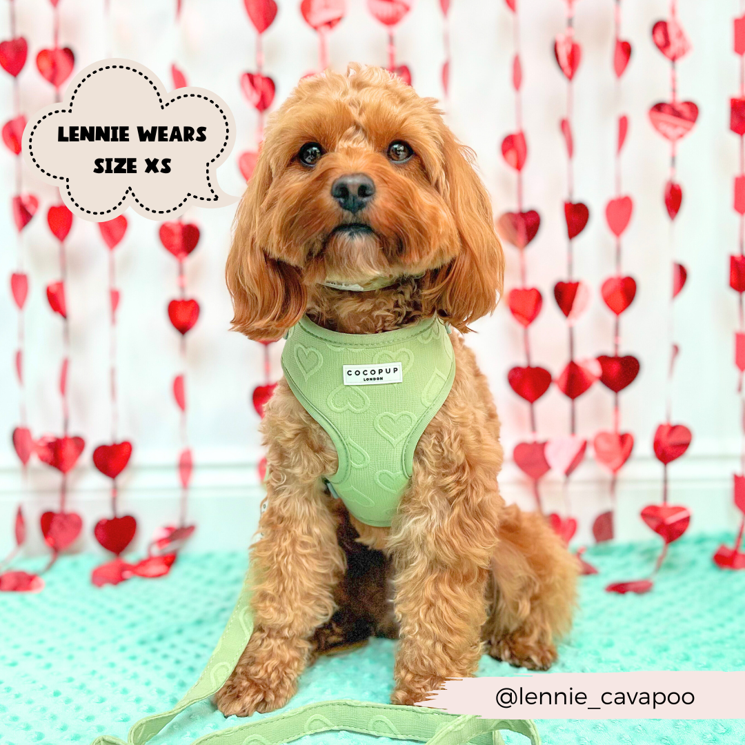 Cocopup London - Luxe verstelbaar nekharnas - Sage Heart