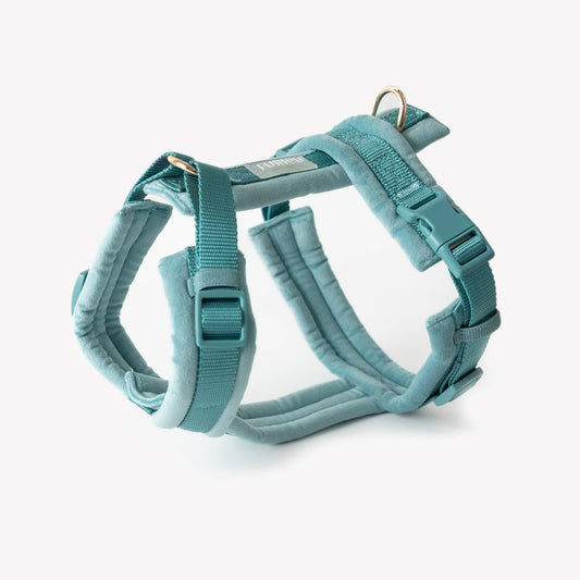 Fluwelen harnas Blauw - Furlou