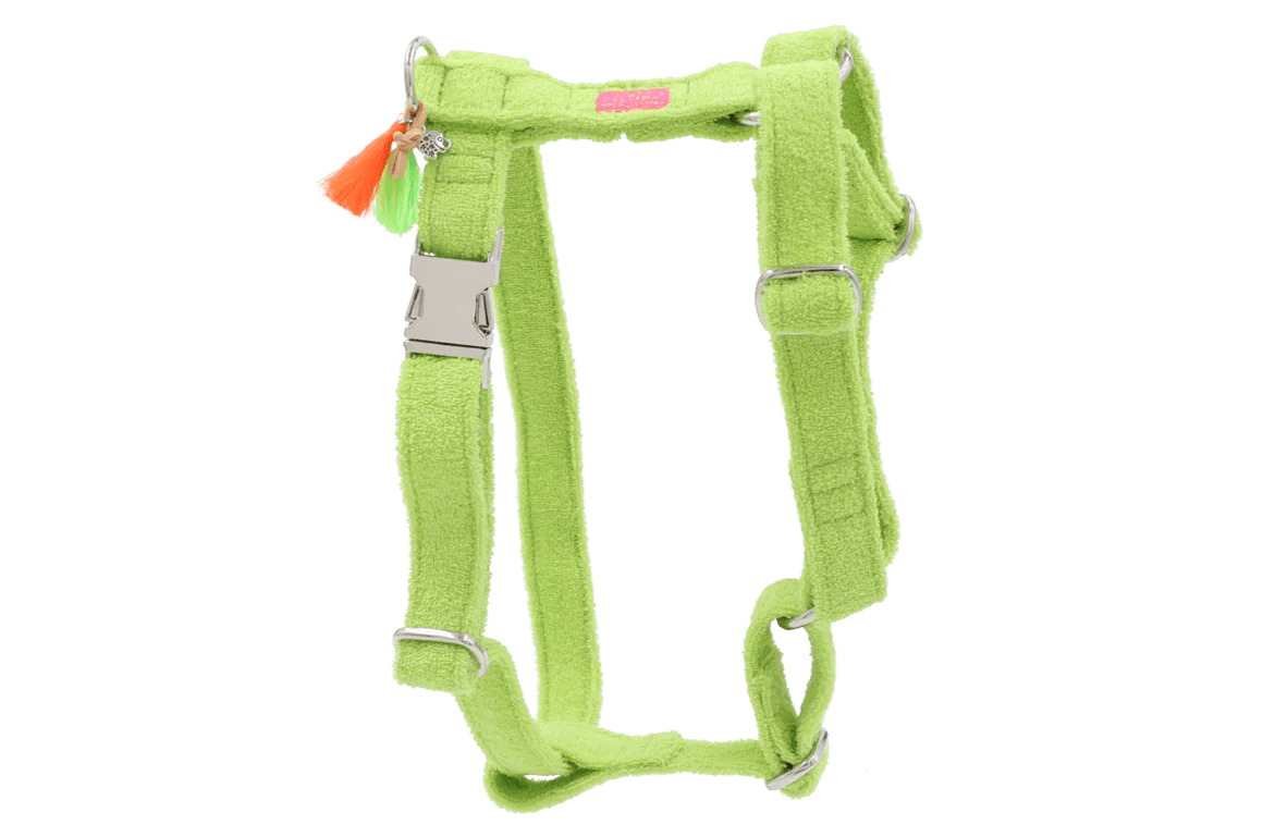 Harnas Frotty Groen