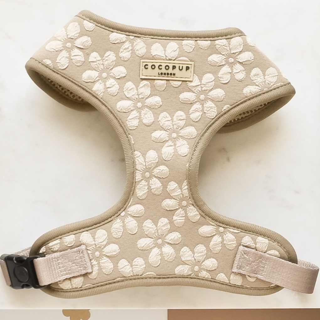 Harnas Mocha Flower - Cocopup London