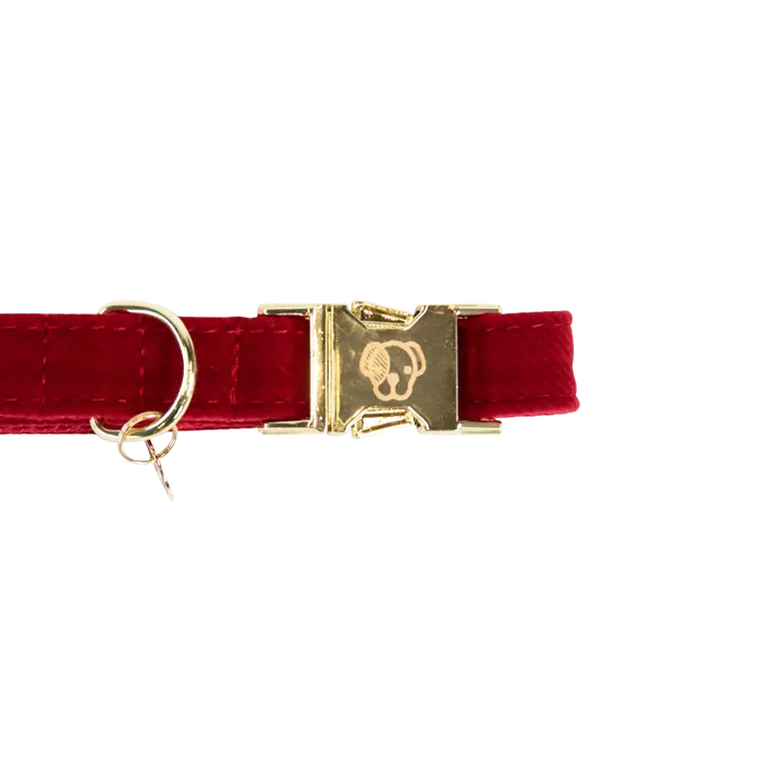 Halsband corduroy rood