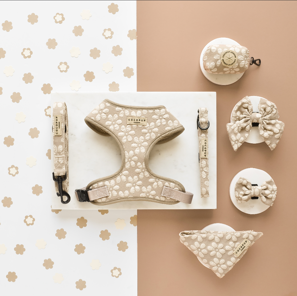 Harnas Mocha Flower - Cocopup London