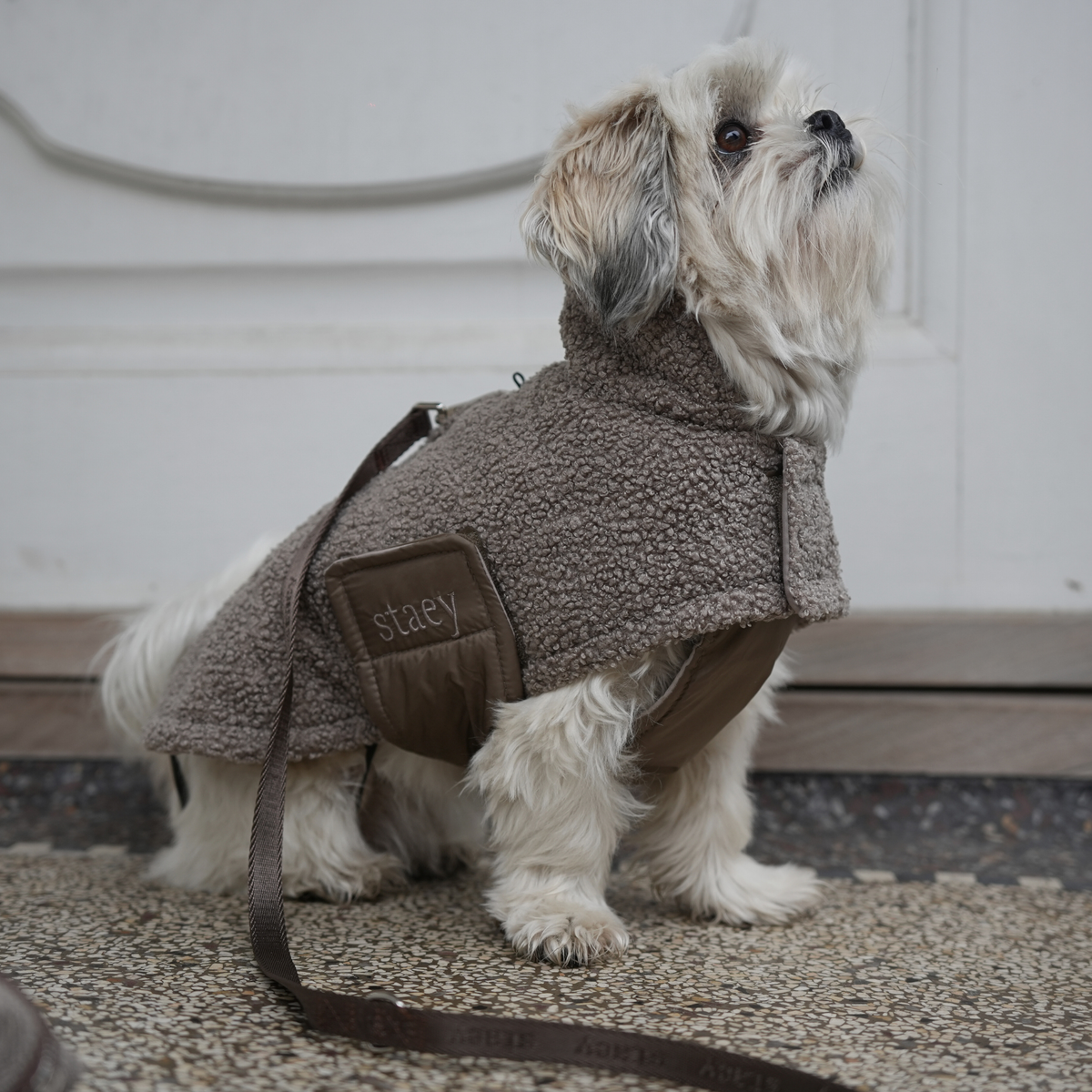 Staey - Hondenjas Teddy | Taupe