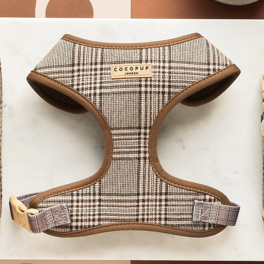 Harnas Pup Plaid - Cocopup London