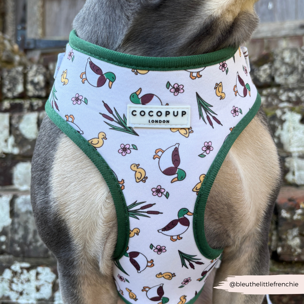Harnas Eend - Cocopup London