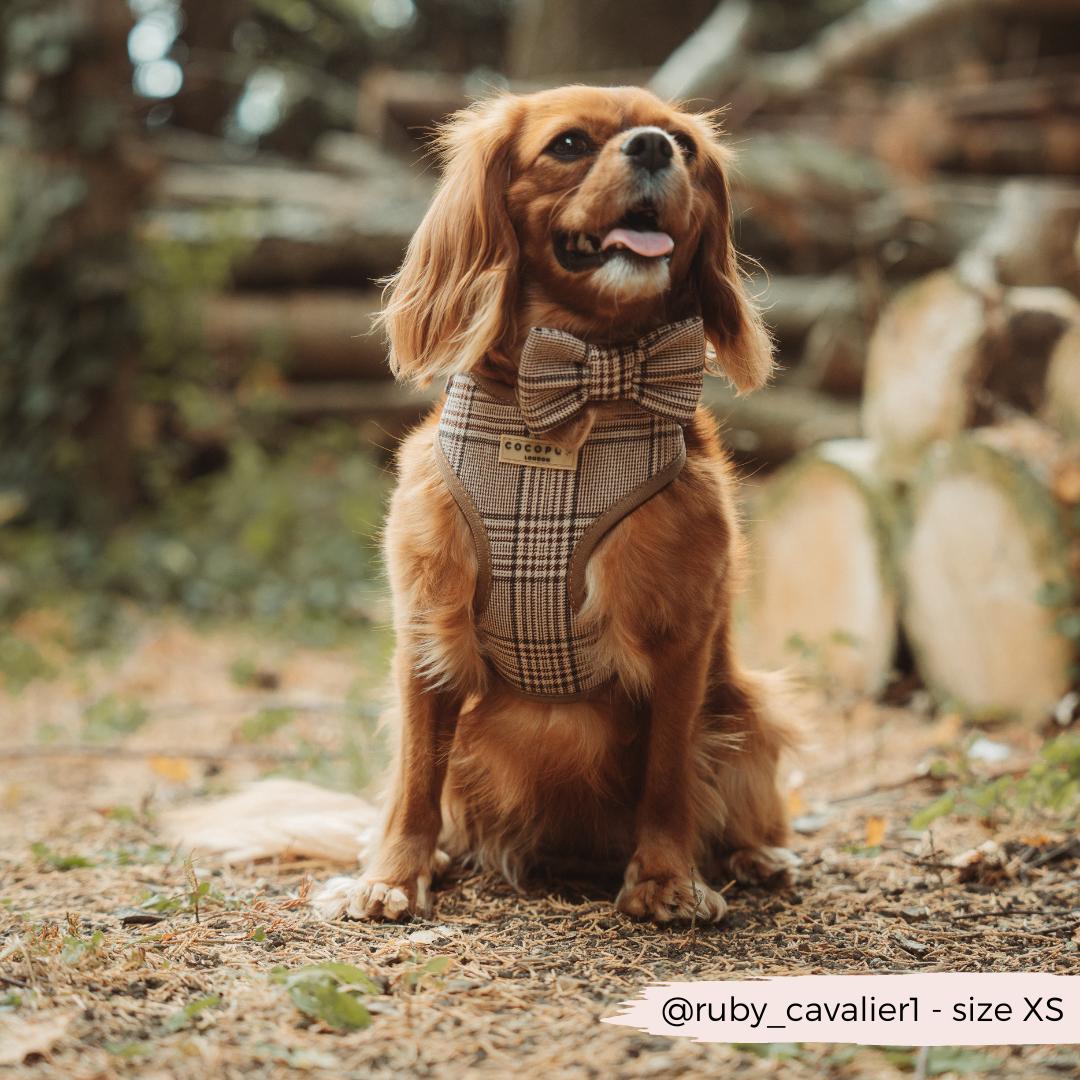 Harnas Pup Plaid - Cocopup London