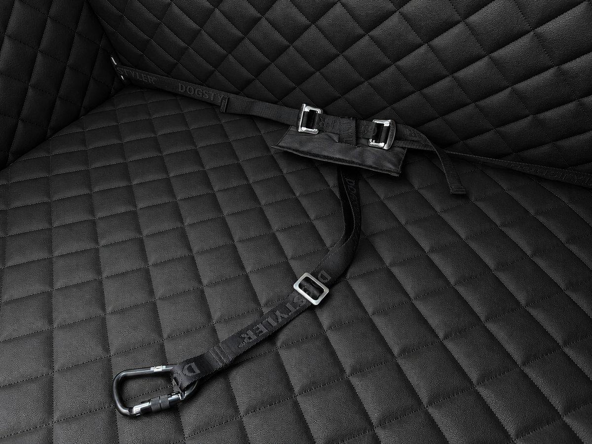 Click & Safety Veiligheidsgordel detail