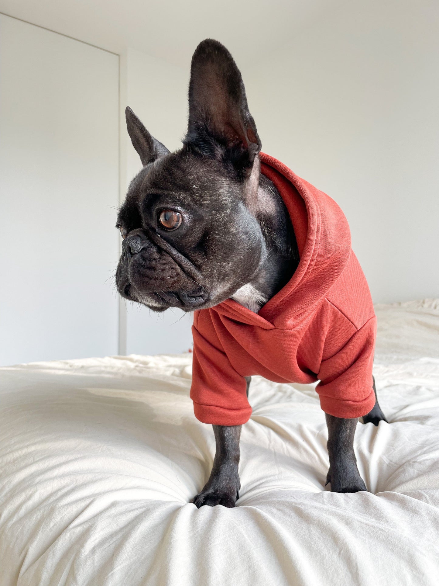 Sweater Rusty - ToutDeLou