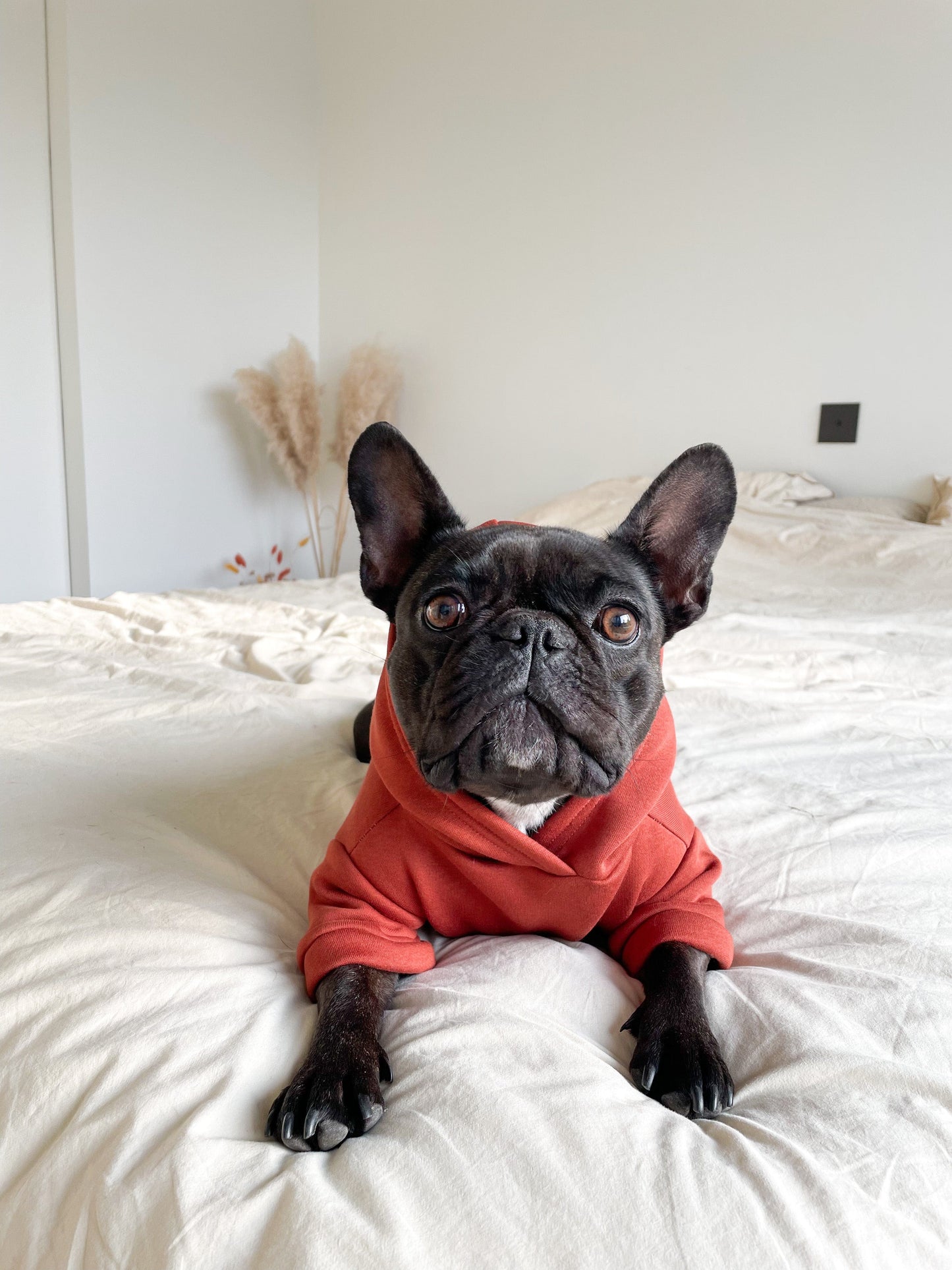 Sweater Rusty - ToutDeLou