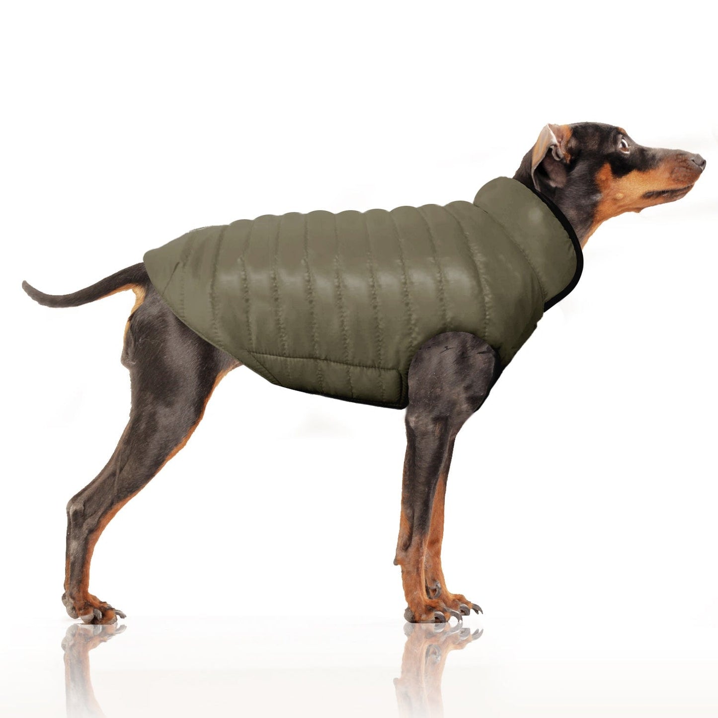 Reversible Jas Arctik Rood/Khaki