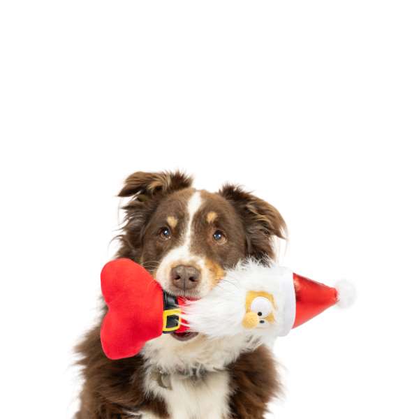 Lulubelles Power Plush Holiday Silly Santa Bone