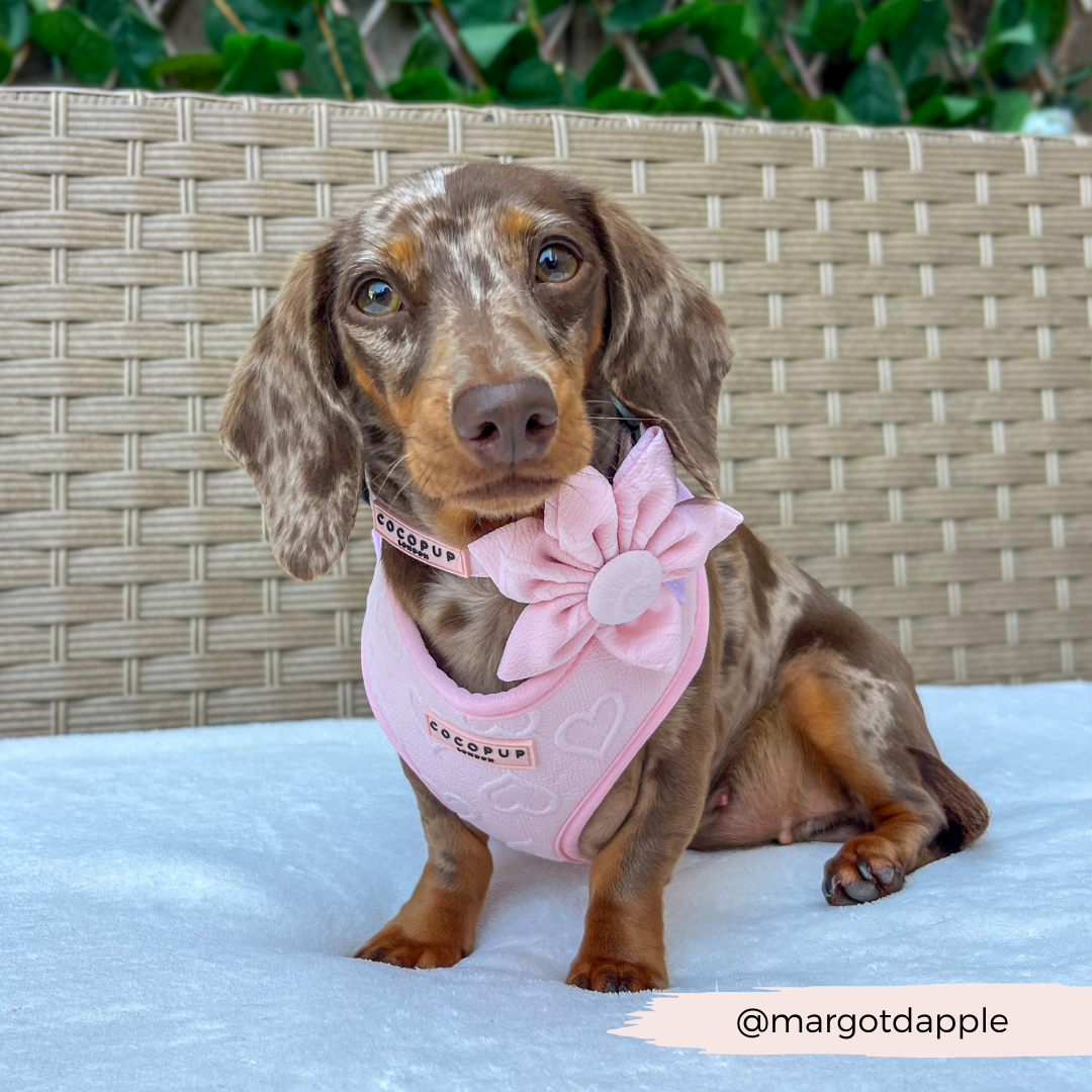 Roze hartjes bloem - Cocopup London