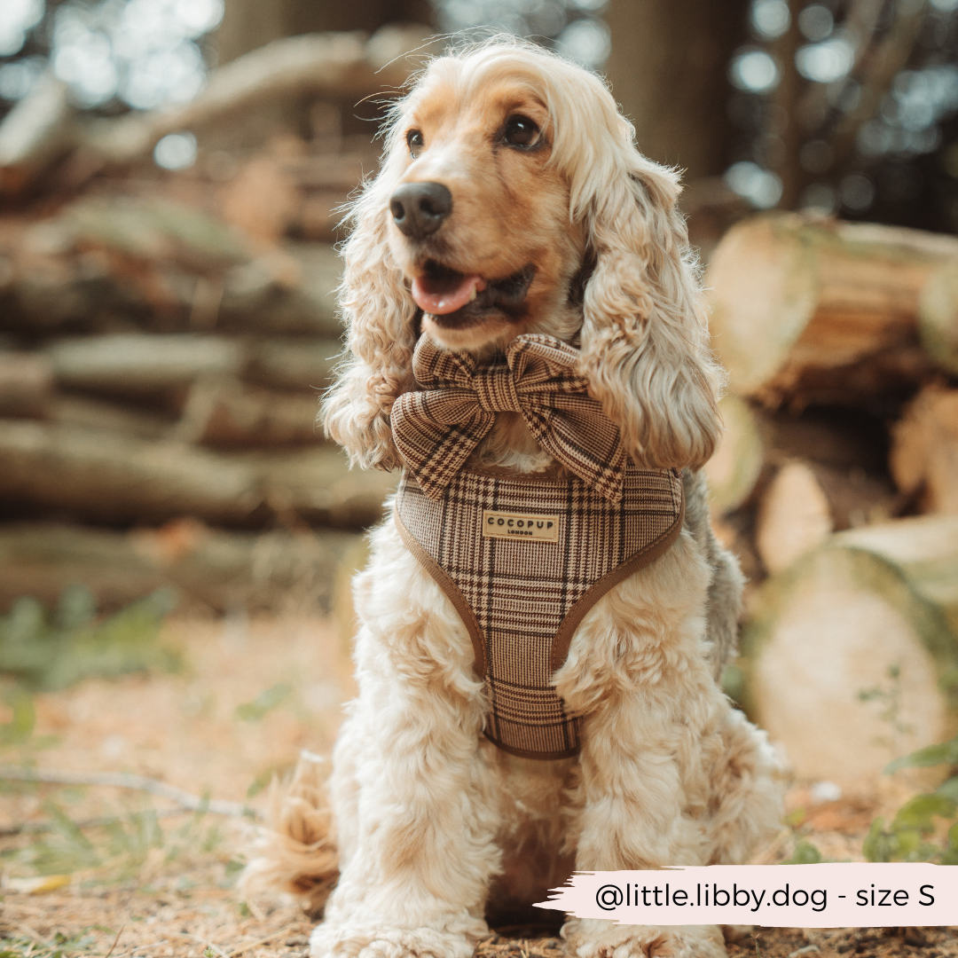 Harnas Pup Plaid - Cocopup London