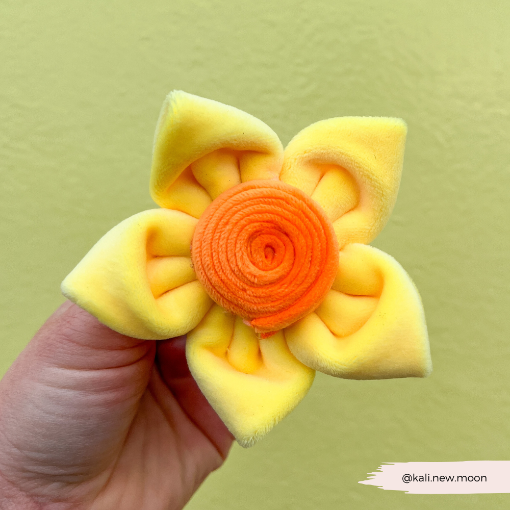 Lentebloem Narcis - Cocopup London