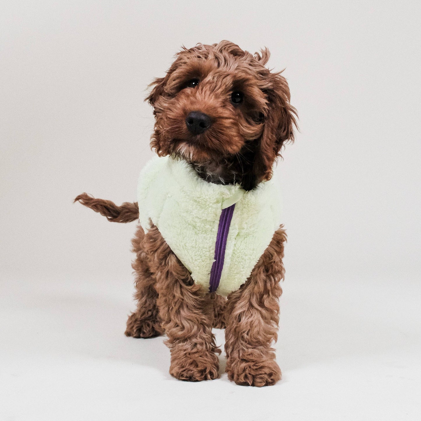 Groen Sherpa Fleece - Barc London