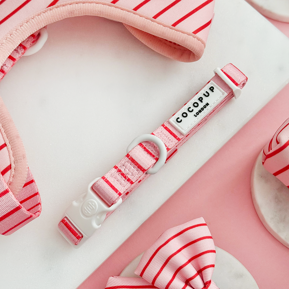 Candy Stripe Halsband – Halsband van Cocopup London | Hondenboetiek (afbeelding 2)