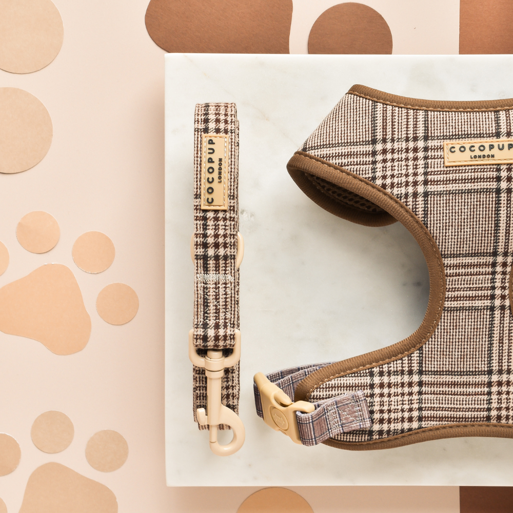 Pup Plaid Hondenriem - Cocopup London – Leiband van Cocopup London | Hondenboetiek (afbeelding 2)