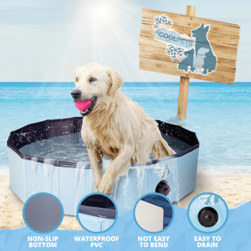 Zwembad Coolpets