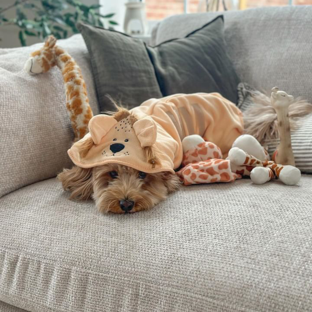 Badjas Roary the Lion - Cocopup London