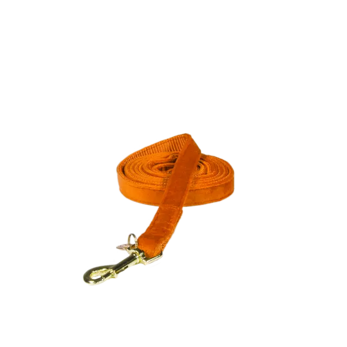 Leiband Velvet - Oranje