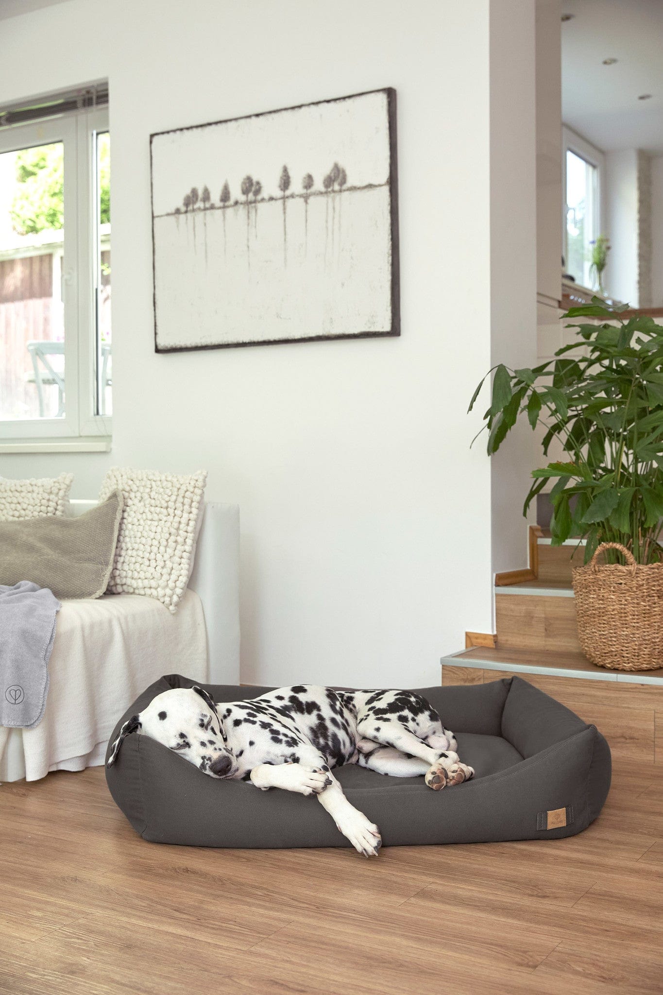Orthopedisch Hondenbed Fred Antraciet