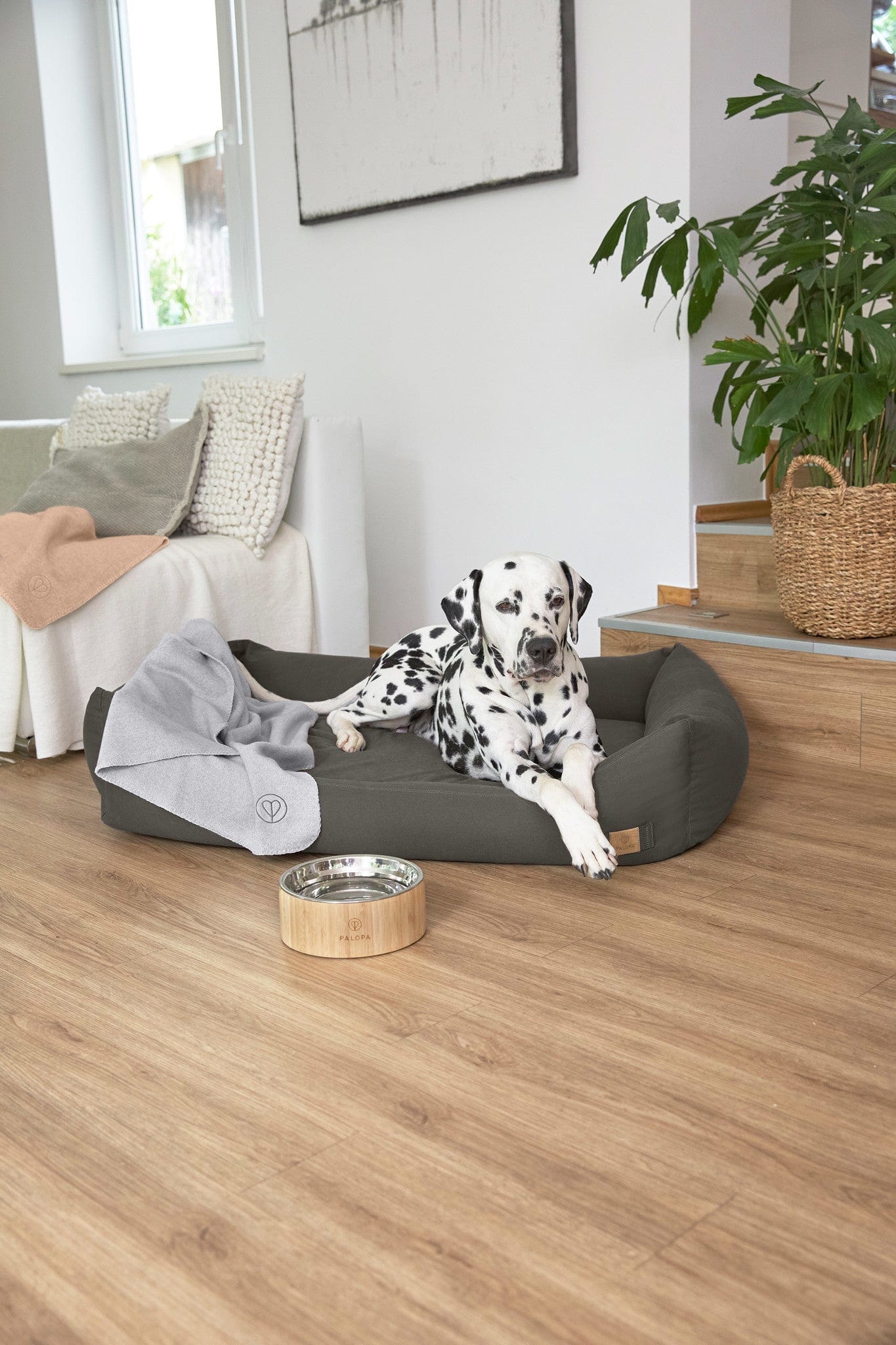 Orthopedisch Hondenbed Fred Antraciet