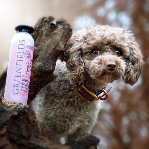 Greenfields Hondenshampoo Curly Coat 250ML