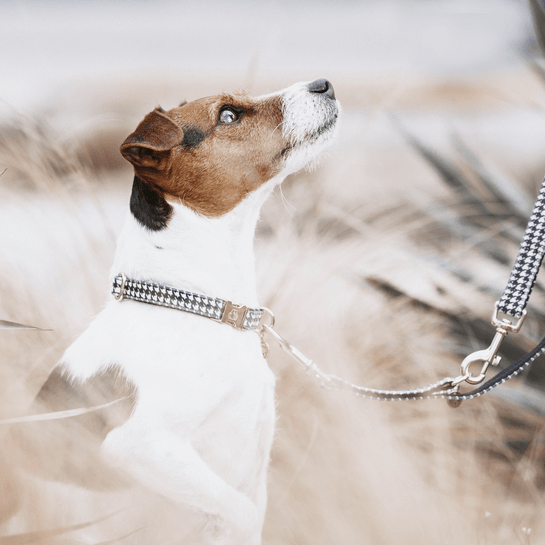 Halsband Pied de Poule- Zwart