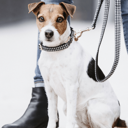 Halsband Pied de Poule- Zwart