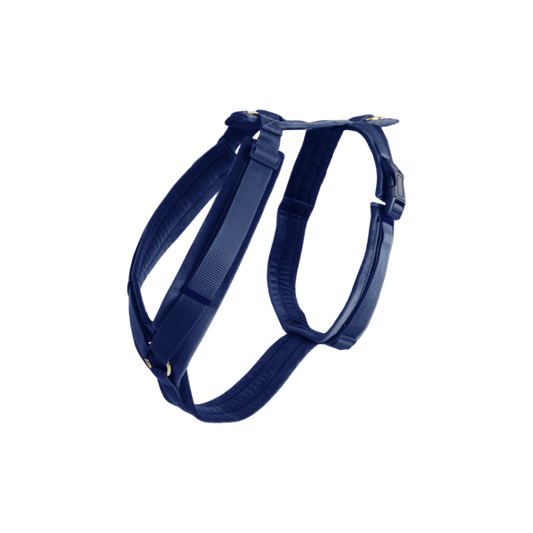 Harnas Active Velvet - Blauw