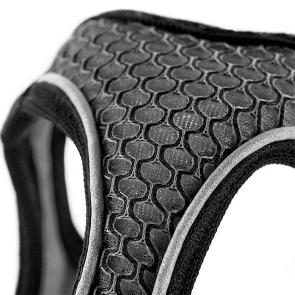 Harnas Hilo Comfort Antraciet