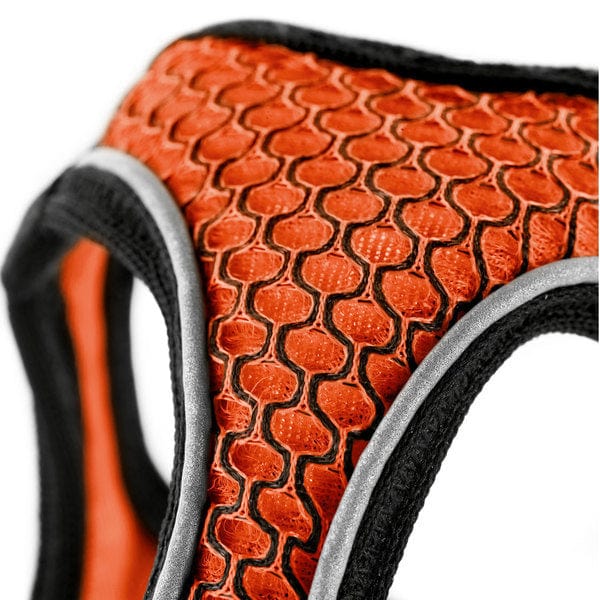 Harnas Hilo Comfort Oranje