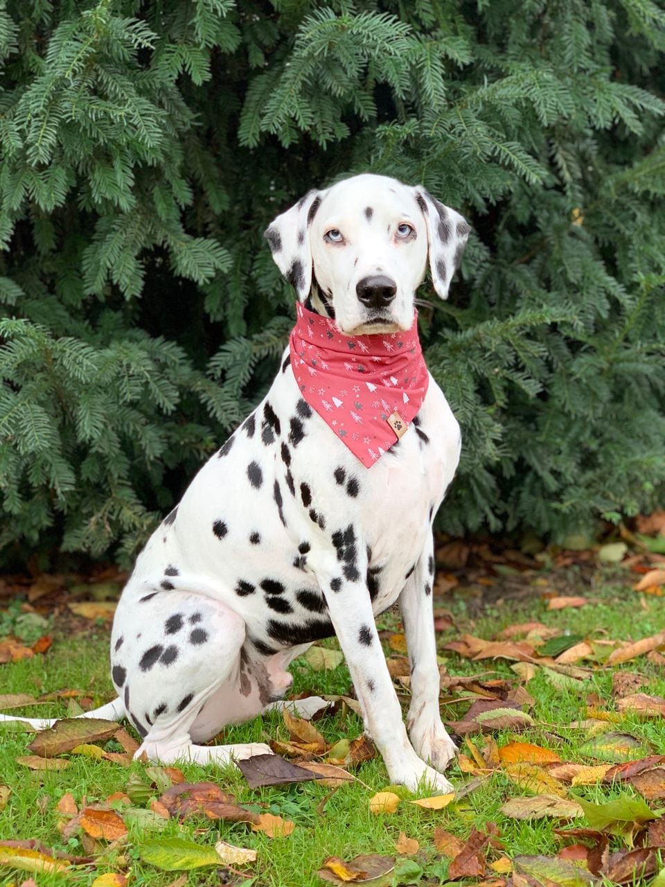 Bandana Christmas Tree