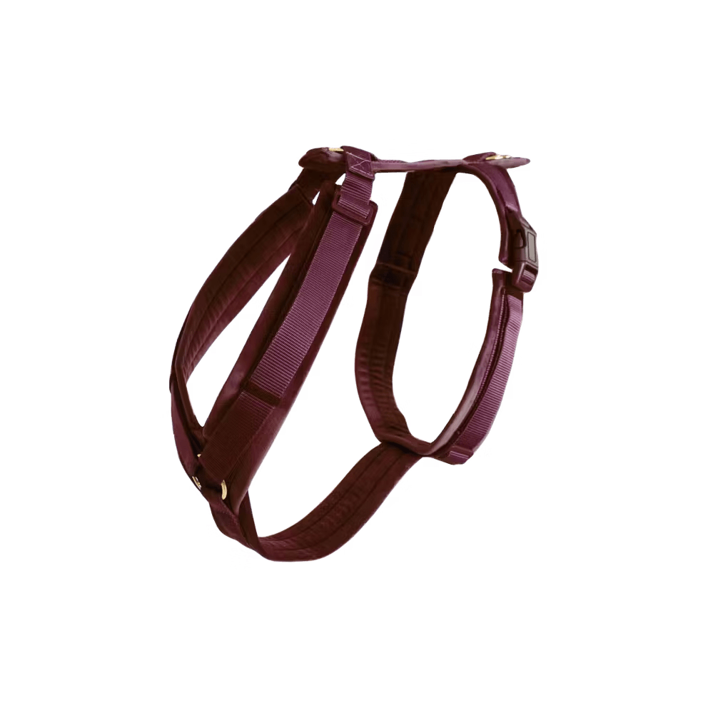 Harnas Active Velvet - Bordeaux