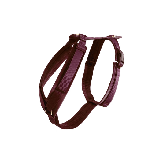 Harnas Active Velvet - Bordeaux
